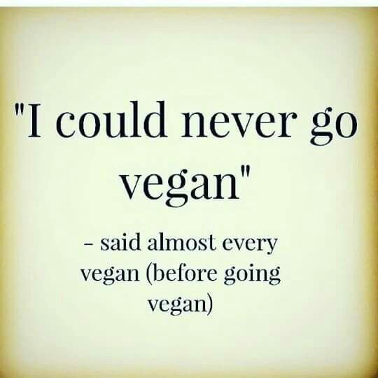 You don’t have to be a vegan (but you can be) to love the food and get involved.