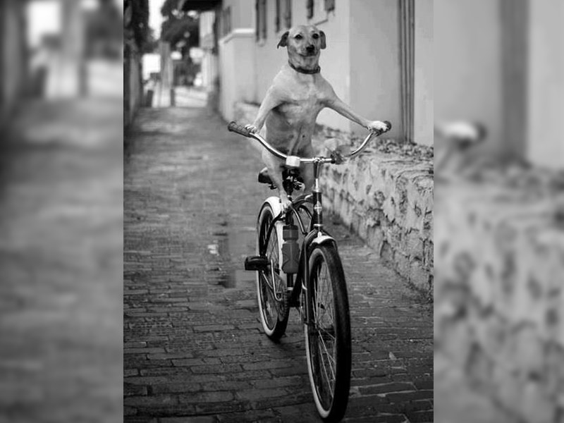 ‪I am a Tripathlete. (*That's Tri-Path-Lete). Get onboard‬