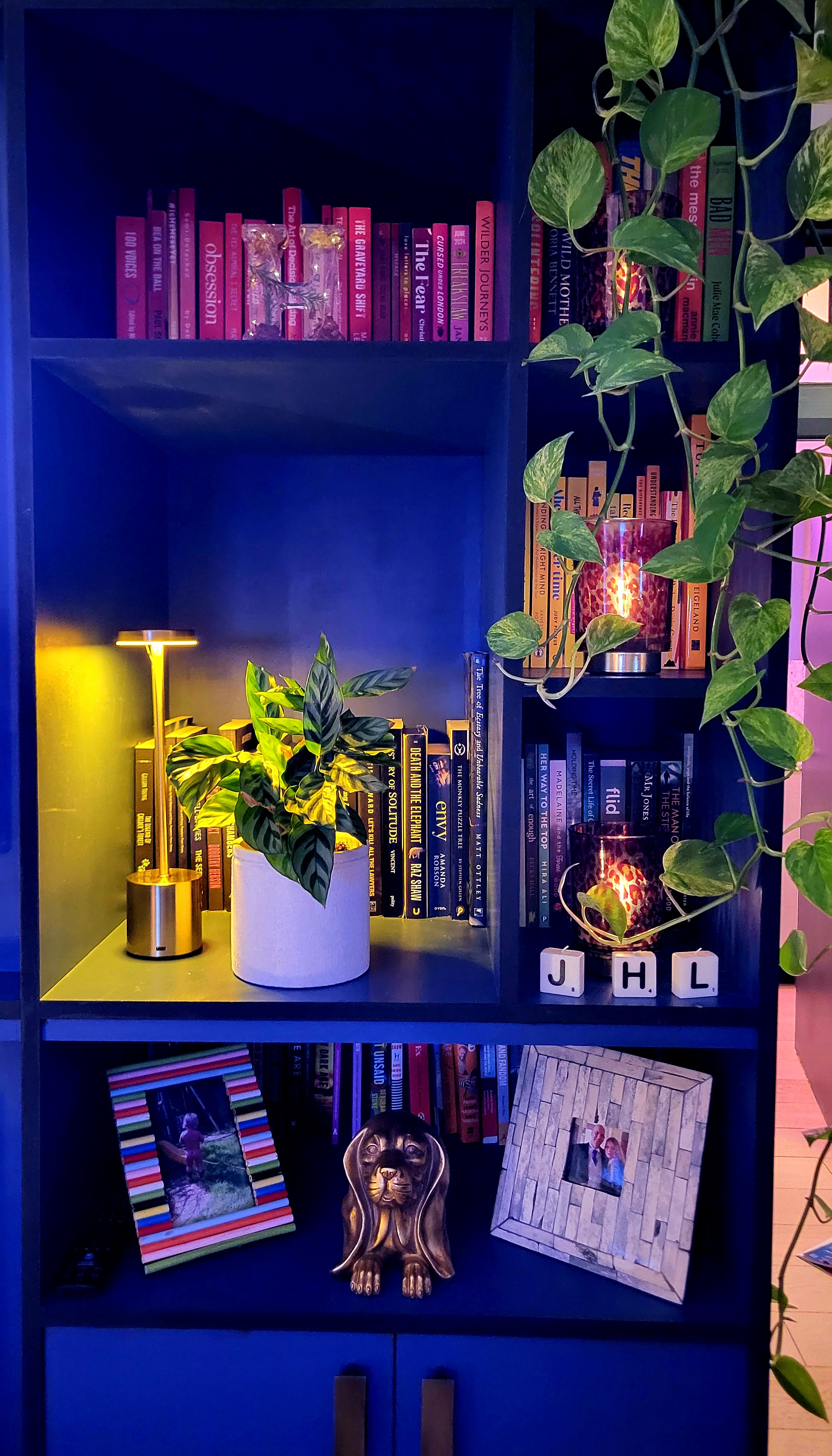 It's starting to be 'Cuddle up with a book' season...